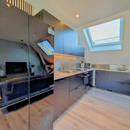 Penthouse In The Middle Of The Center - 5 Bedrooms - Inlcusive - Free Parking Apartament Skien